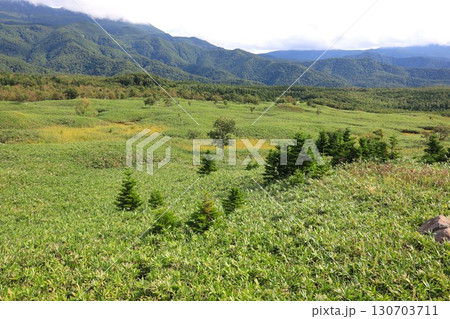 北海道・知床五湖の情景 130703711