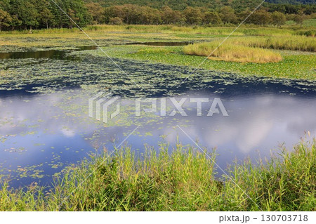 北海道・知床五湖の情景 130703718