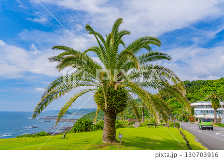 【宮崎県】宮崎市・道の駅フェニックス　海辺の景色 130703916