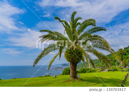 【宮崎県】宮崎市・道の駅フェニックス　海辺の景色 130703917