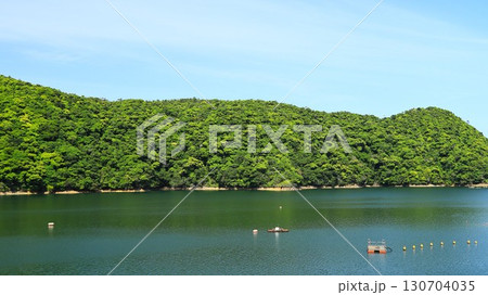 新緑のやんばる 新緑のやんばる 130704035