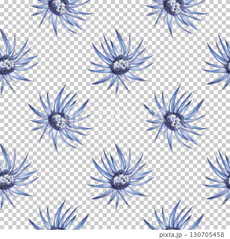 Seamless watercolor pattern with blue cornflower blossoms. Hand drawn, white background. Botanical illustration for textiles, postcards, invitations 130705458