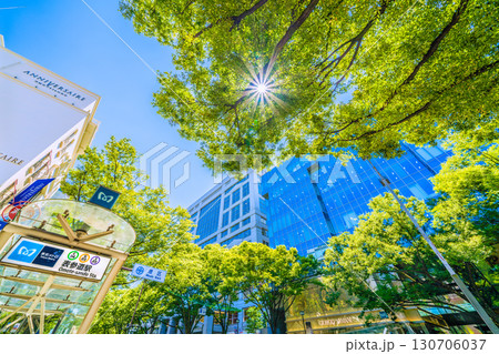 日本の東京都市景観 東京・表参道の緑溢れる並木や表参道駅出入口A2などを望む。右にアルマーニ 130706037