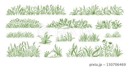 Grass field. Flower clump, small clover sketch or weed bush garden. Turf border texture, hand drawn plant lines. Decorative botanical meadow nature summer garden. Vector herbal doodles set Grass field. Flower clump, small clover sketch or weed bush garden. Turf border texture, hand drawn plant lines. Decorative botanical meadow nature summer garden. Vector herbal doodles set 130706469
