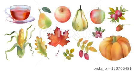 Autumn watercolor. Fall pumpkin crop. Apple and fruit tea. September corn harvest on cozy spice aquarelle. Oak acorn. Maple leaf. Rowan plant. Autumnal season. Vector drawing elements set Autumn watercolor. Fall pumpkin crop. Apple and fruit tea. September corn harvest on cozy spice aquarelle. Oak acorn. Maple leaf. Rowan plant. Autumnal season. Vector drawing elements set 130706481