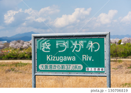 木津川の標識と背景に咲く背割堤の桜並木。八幡市、京都府、日本 木津川の標識と背景に咲く背割堤の桜並木。八幡市、京都府、日本 130706819