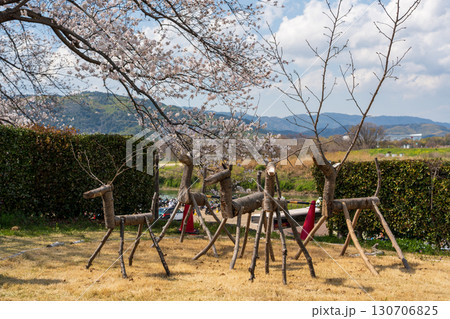 背割堤さくらまつりを飾る、桜の枝で作られた鹿のオブジェ 背割堤さくらまつりを飾る、桜の枝で作られた鹿のオブジェ 130706825