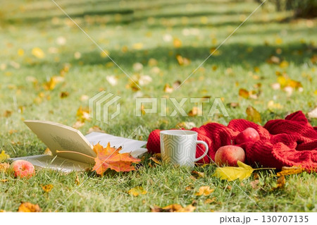 Autumn composition on light nature background. Open book, cup of hot tea and cozy sweater on autumn grass with leaves in park. High quality photo 130707135