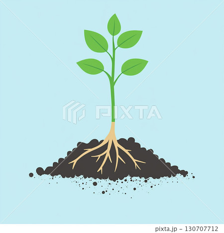 Illustration of a young green seedling with a long stem, showing its extensive roots growing in a mound of rich brown soil against a light blue background. 130707712