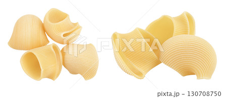 lumaconi pasta isolated on white background with full depth of field. Top view. Flat lay 130708750