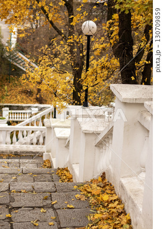 Autumn leaves scattered on elegant stone stairs in a serene urban park 130709859