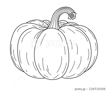Vector outline of pumpkin. Minimalistic line art. Perfect for autumn, Halloween, or Thanksgiving themes. Black and white contour drawing suitable for coloring, seasonal decor, and design projects 130710309