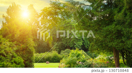 Lush Green Park at Sunset with Golden Light 130710848