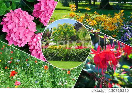 Collage of Colorful Flowers in a Summer Garden 130710850