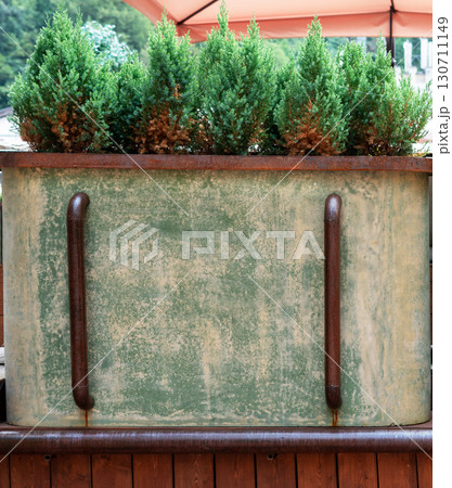 Green planter box with vibrant evergreen coniferous trees, featuring rustic metal handles, set against a wooden backdrop, creating a serene outdoor ambiance with natural elements 130711149