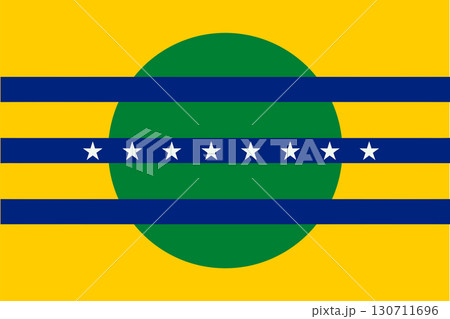 Bolivar State flag 130711696