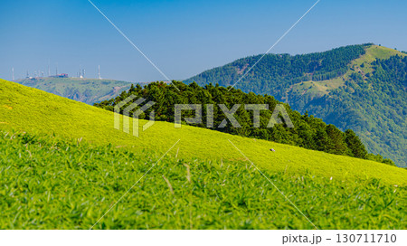 Nagano Japan Highland Landscape with Lush Green Hills Nagano Japan Highland Landscape with Lush Green Hills 130711710