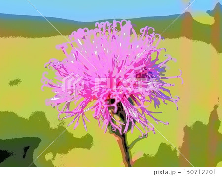 草原の中のタムラソウ（afr20250906161040） 130712201