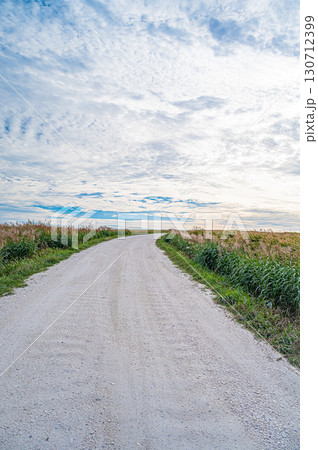 北海道・宗谷丘陵「白い道」の絶景 130712399