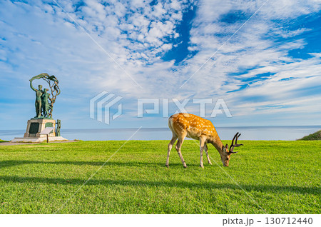 北海道・宗谷公園の町並みとエゾシカの風景 北海道・宗谷公園の町並みとエゾシカの風景 130712440