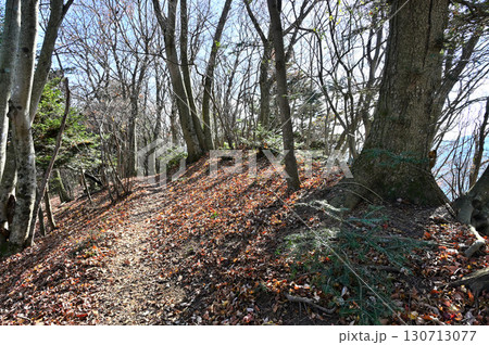 丹沢の相州アルプス 熊古谷山山頂 丹沢の相州アルプス 熊古谷山山頂 130713077