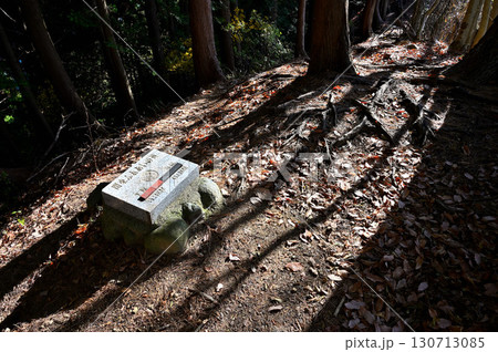 丹沢の相州アルプス　革籠石山　関東ふれあいの道の石碑 130713085