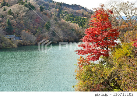神奈川県清川村　秋の宮ヶ瀬湖　紅葉と湖 130713102