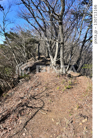 丹沢の相州アルプス 衣浸山(きぬひたしやま)山頂 丹沢の相州アルプス 衣浸山(きぬひたしやま)山頂 130713166