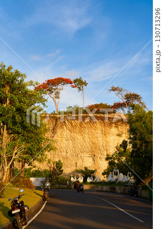 A tree with red flowers grows on the very top of the cliff. A tree with red flowers grows on the very top of the cliff. 130713296
