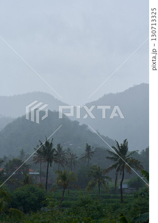 A tropical rainstorm in a rice field with cascading mountains and palm trees. 130713325