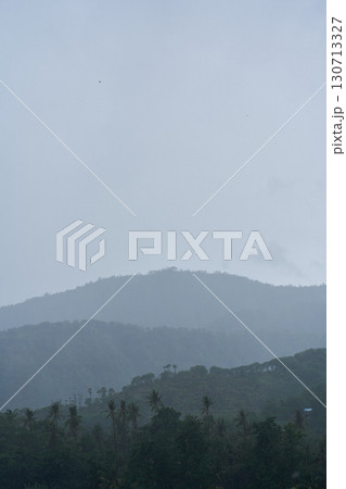 A tropical rainstorm in a rice field with cascading mountains and palm trees. 130713327