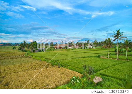 Aerial view of rice plantations and a hill village from a drone. Rice terraces on the island of Bali. Aerial view of rice plantations and a hill village from a drone. Rice terraces on the island of Bali. 130713376