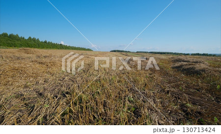 Vast and Expansive Landscape Featuring Grassy Terrain Beneath a Clear and Bright Blue Sky Vast and Expansive Landscape Featuring Grassy Terrain Beneath a Clear and Bright Blue Sky 130713424