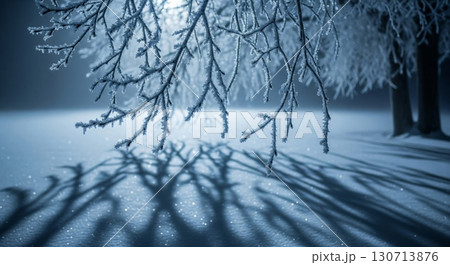 Icy Tree Branches with Shadow On Fresh Snow in Winter Scenery At Night 130713876