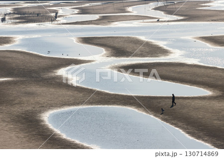 夕暮れの干潟（大分県豊後高田市真玉海岸） 130714869