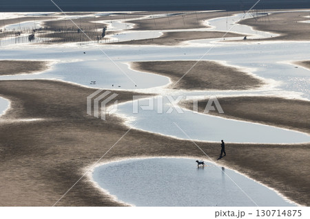 夕暮れの干潟（大分県豊後高田市真玉海岸） 130714875