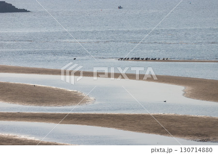 夕暮れの干潟（大分県豊後高田市真玉海岸） 130714880