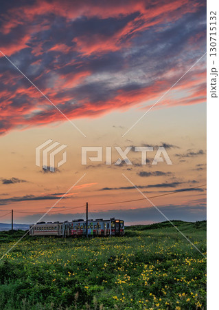 北海道の夏、エゾキスゲと夕暮れの釧網本線 130715132