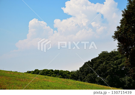 夏の青空と広い草原風景 夏の青空と広い草原風景 130715439