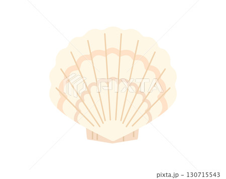 白い殻のホタテ貝をイメージしたイラスト 130715543