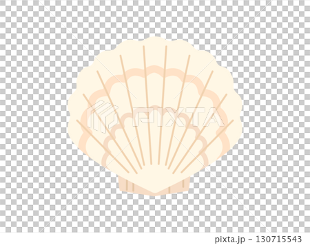 白殼扇貝的插圖 130715543