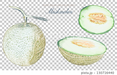 Watercolor illustration set of muskmelon 130716440
