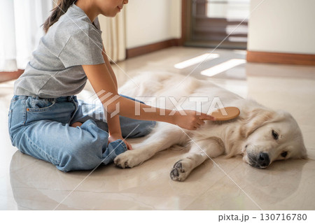 飼い主に優しくブラッシングしてもらうゴールデンレトリーバー 飼い主に優しくブラッシングしてもらうゴールデンレトリーバー 130716780