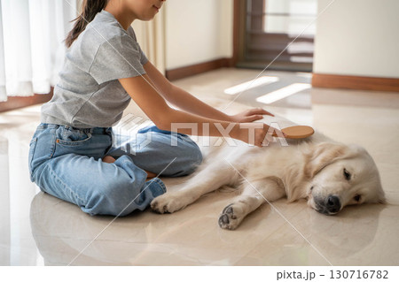 飼い主に優しくブラッシングしてもらうゴールデンレトリーバー 130716782