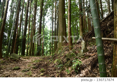 風伝峠道(地蔵尊) 【三重県御浜町・熊野市紀和町】 風伝峠道(地蔵尊) 【三重県御浜町・熊野市紀和町】 130717874