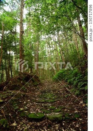 風伝峠道(本宮道・石畳) 【三重県御浜町・熊野市紀和町】 風伝峠道(本宮道・石畳) 【三重県御浜町・熊野市紀和町】 130717896
