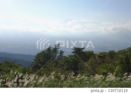 足柄城跡のススキと雲に隠れる富士山/静岡県小山町・9月 足柄城跡のススキと雲に隠れる富士山/静岡県小山町・9月 130718116