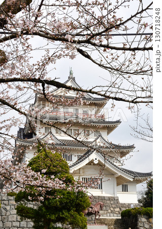 千葉市立郷土博物館（千葉城）と桜 130718248