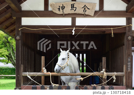 上賀茂神社（賀茂別雷神社）神馬舎の神馬 130718418
