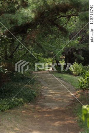 緑に囲まれた道 緑に囲まれた道 130718749
